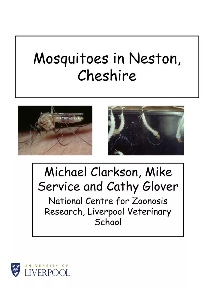 mosquitoes in neston cheshire