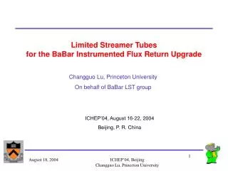 Limited Streamer Tubes for the BaBar Instrumented Flux Return Upgrade