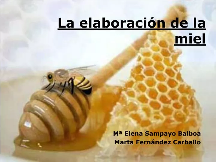 la elaboraci n de la miel