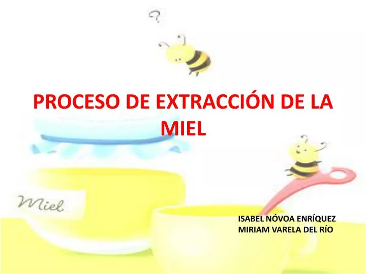 proceso de extracci n de la miel