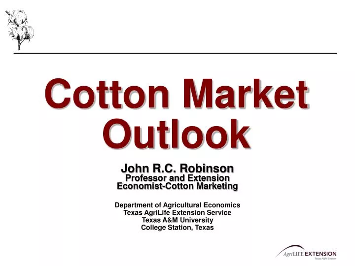 cotton market outlook