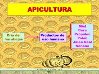 apicultura