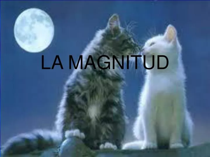 la magnitud