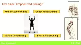 hva skjer i kroppen ved trening