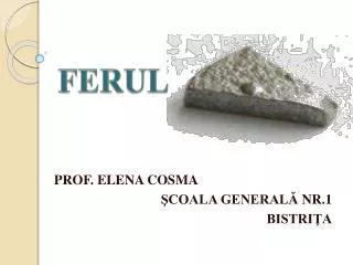 ferul