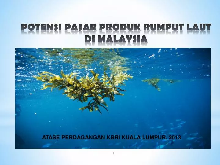 potensi pasar produk rumput laut di malaysia