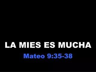 la mies es mucha