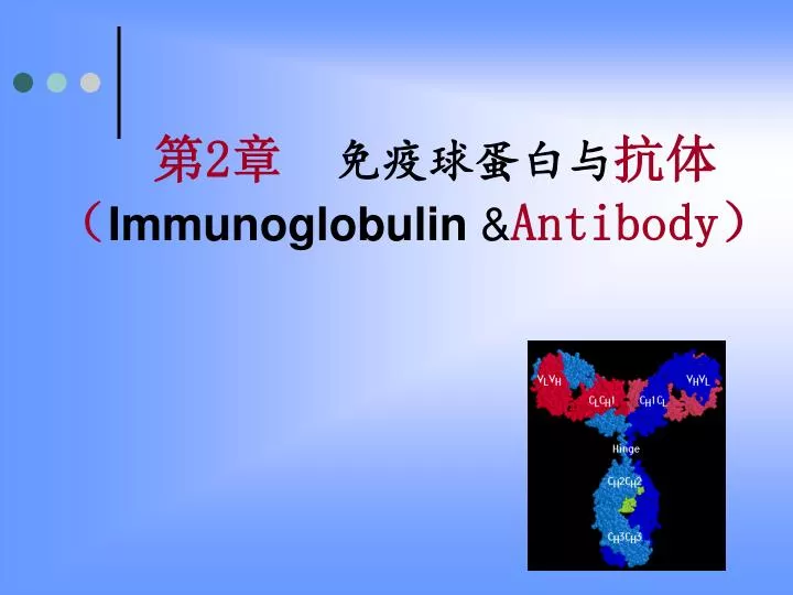 2 immunoglobulin antibody