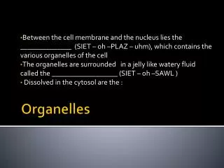 Organelles