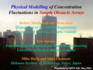Physical Modelling of Concentration Fluctuation s in Simple Obstacle Arrays