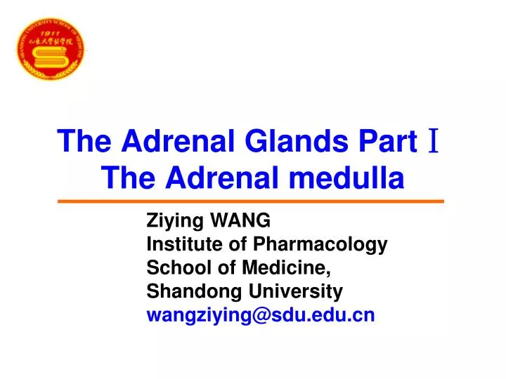 the adrenal glands part the adrenal medulla