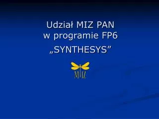 udzia miz pan w programie fp6 synthesys