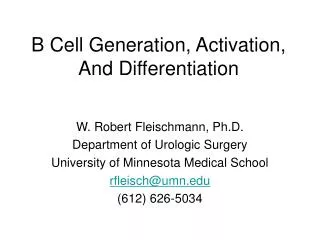 B Cell Generation, Activation, And Differentiation