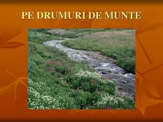 pe drumuri de munte