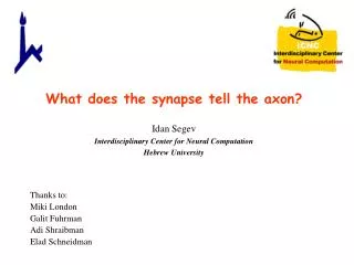 What does the synapse tell the axon?