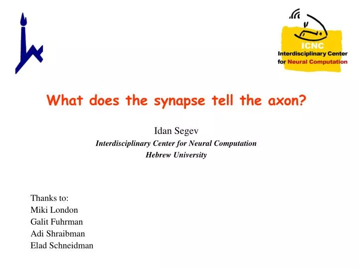 what does the synapse tell the axon