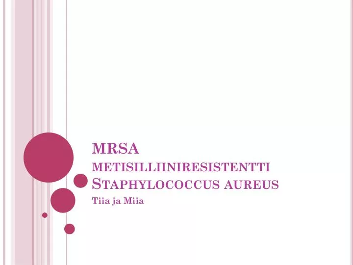 mrsa metisilliiniresistentti staphylococcus aureus