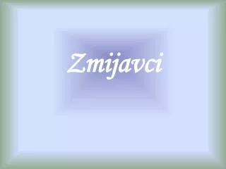 zmijavci