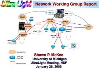 Network Working Group Report