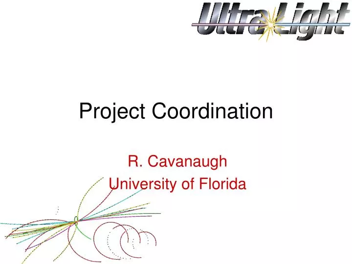 project coordination
