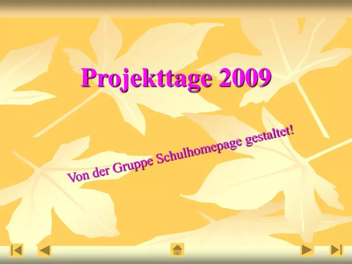 projekttage 2009