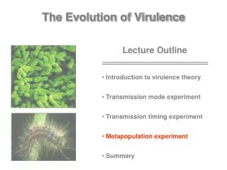 The Evolution of Virulence