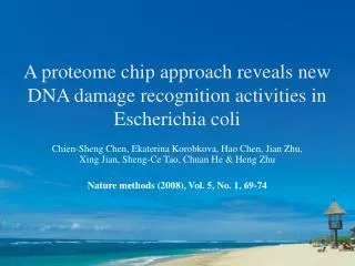 A proteome chip approach reveals new DNA damage recognition activities in Escherichia coli