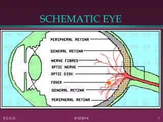 SCHEMATIC EYE