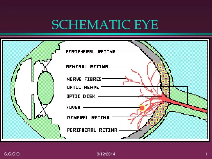 schematic eye