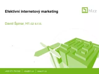 efektivn internetov marketing