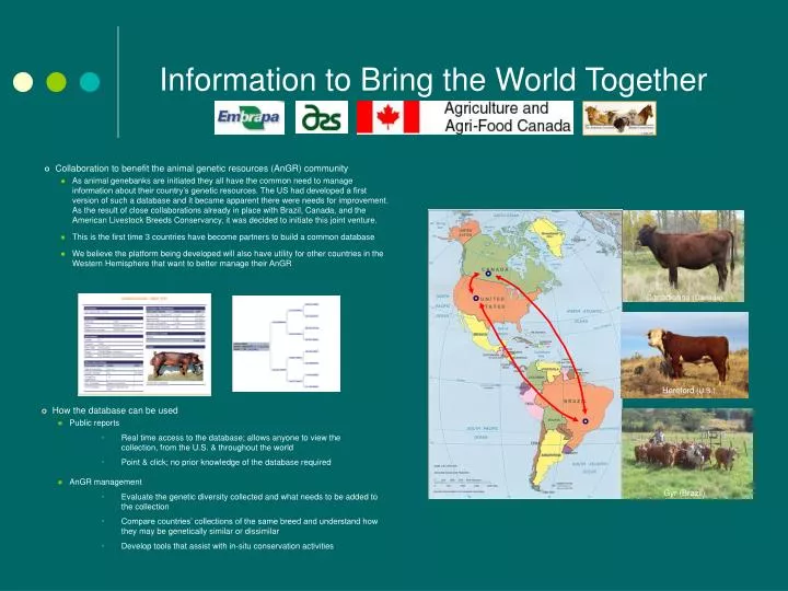 information to bring the world together