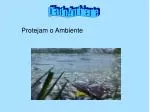 Protejam o Ambiente - slide 1