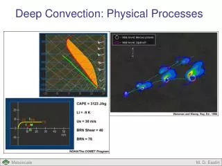 Deep Convection: Physical Processes