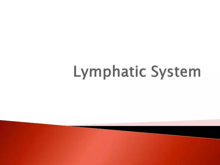 lymphatic system