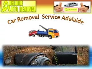 Adelaide Auto removal