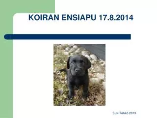 koiran ensiapu 17 8 2014