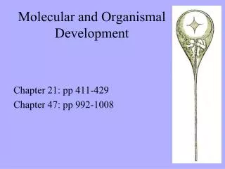 Molecular and Organismal Development