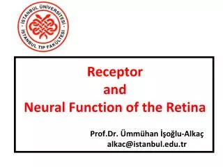 Receptor and Neural Function of the Retina