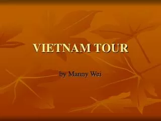 VIETNAM TOUR