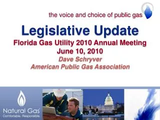 Legislative Update Florida Gas Utility 2010 Annual Meeting June 10, 2010 Dave Schryver