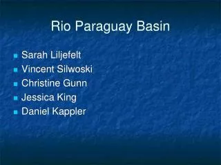 Rio Paraguay Basin