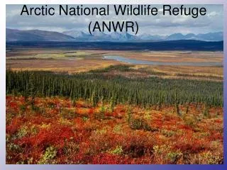 Arctic National Wildlife Refuge (ANWR)