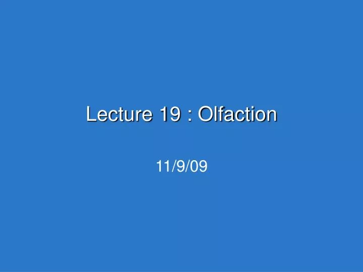 lecture 19 olfaction