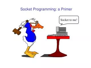 Socket Programming: a Primer