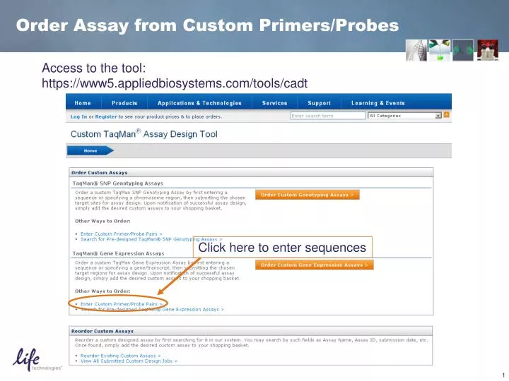 order assay from custom primers probes