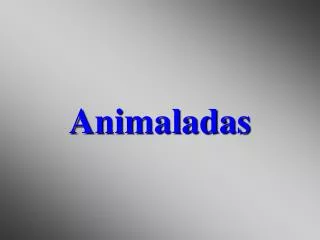 animaladas