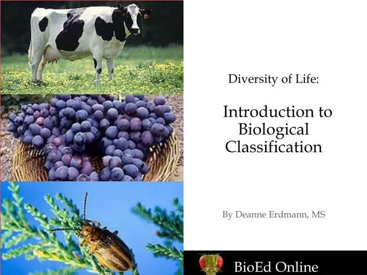diversity of life introduction to biological classification