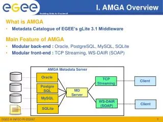 I. AMGA Overview