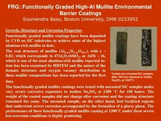 FRG: Functionally Graded High-Al Mullite Environmental Barrier Coatings