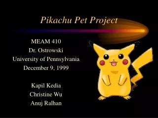 Pikachu Pet Project